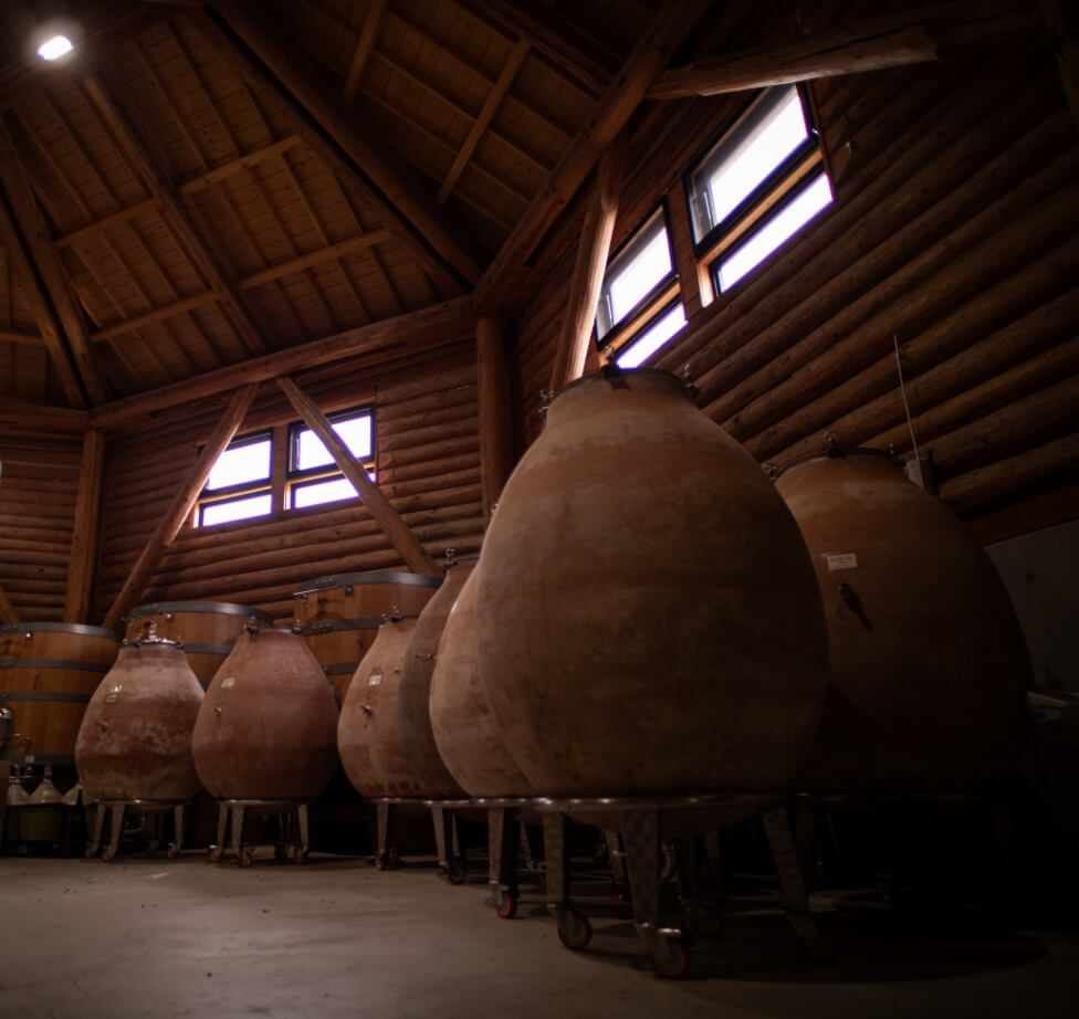 アンフォラの写真