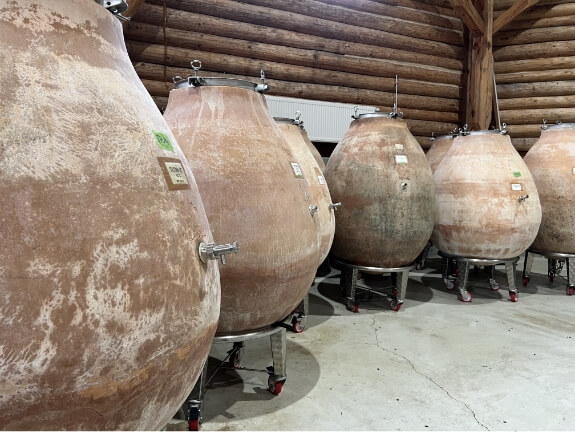 アンフォラの写真